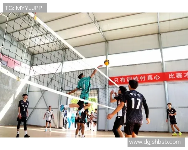 运动最新数据从零基础到高手排球力量训练全方位指南与技巧分享