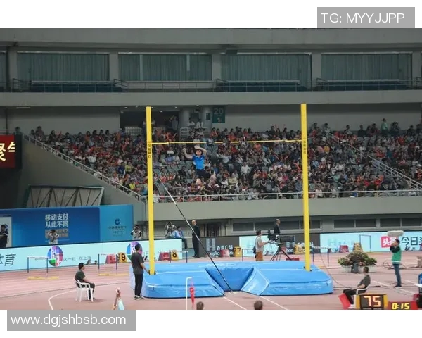 钻石联赛特别报道上海篮球队拼搏历程与荣耀瞬间的感人故事